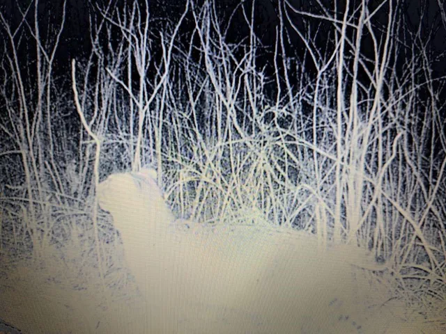 $1,625,000 | 27930 Hwy B, Lincoln, MO 65338