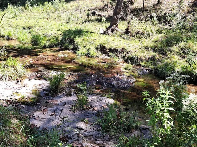 $1,625,000 | 27930 Hwy B, Lincoln, MO 65338