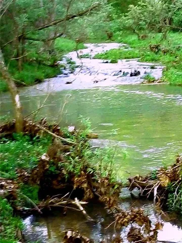 $1,625,000 | 27930 Hwy B, Lincoln, MO 65338