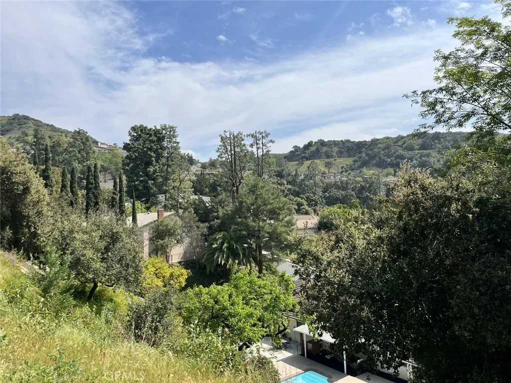 a view of a green field with lots of bushes