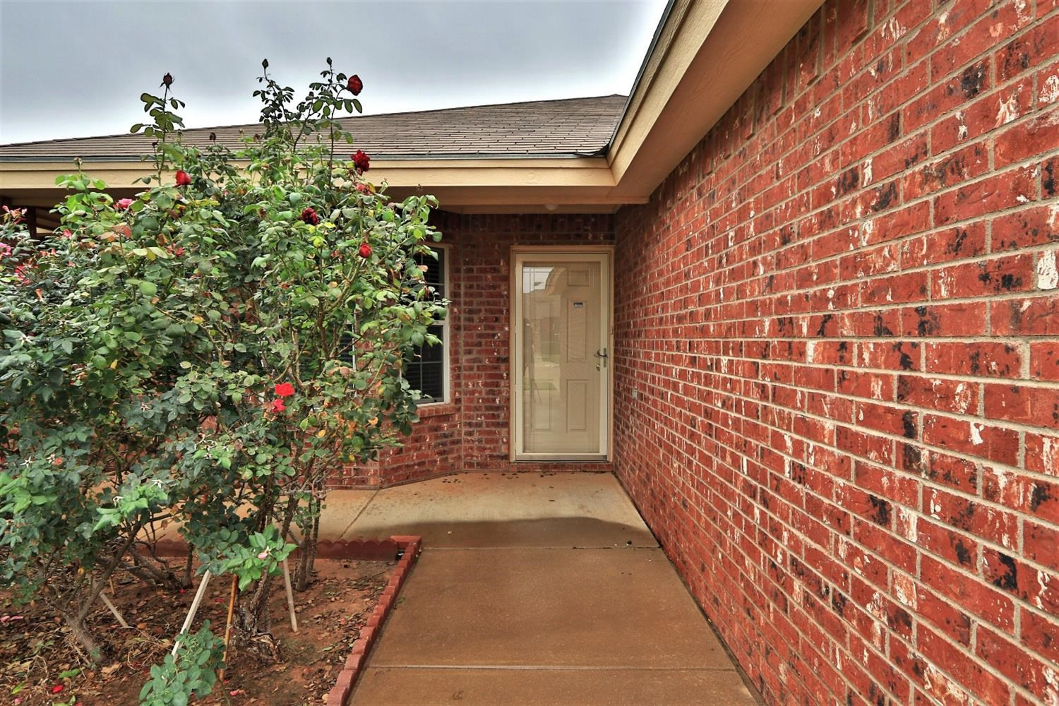 6723 8th Street Lubbock, TX 79416 - Photo 3 of 9 a view of a door and a potted plant
