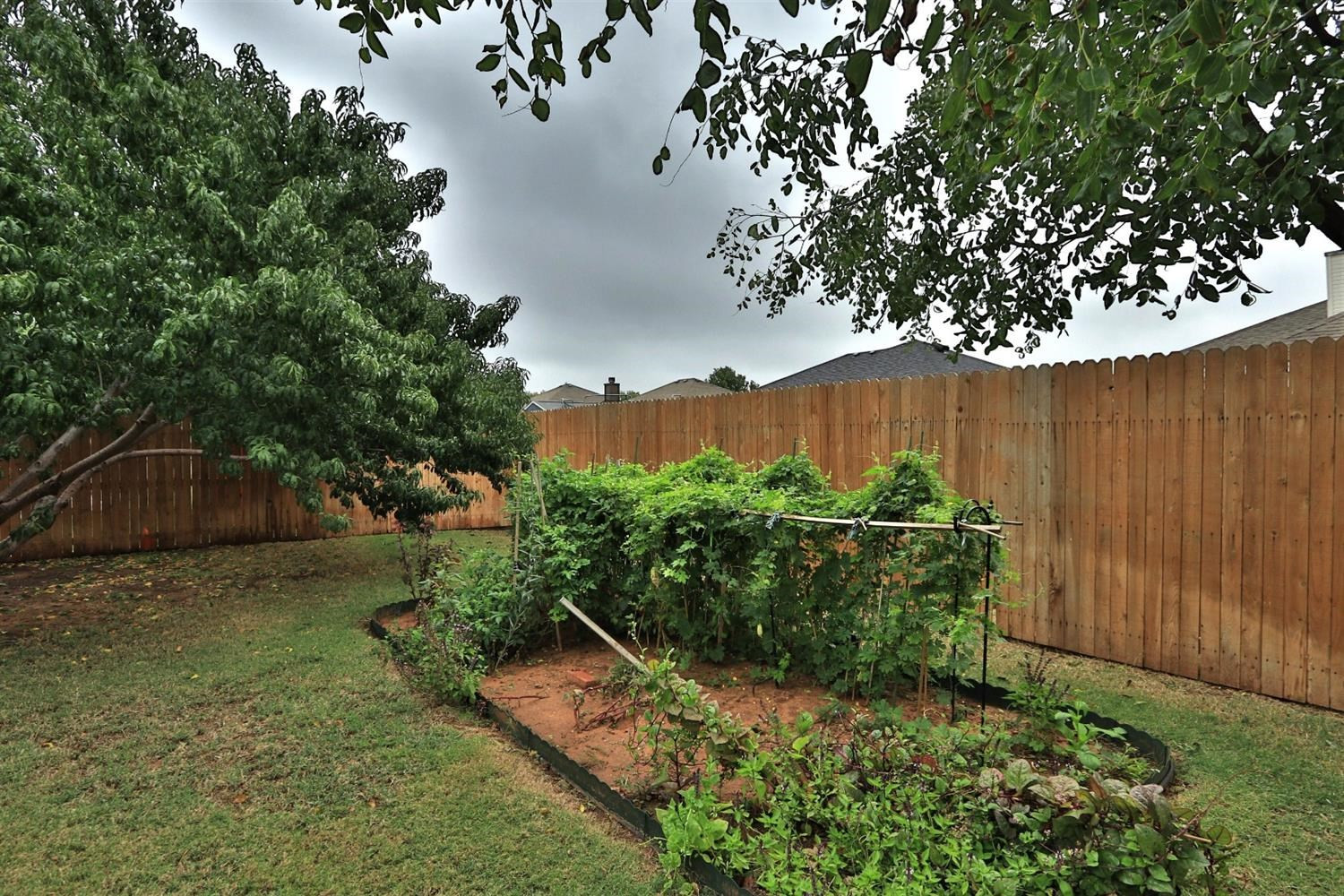 6723 8th Street Lubbock, TX 79416 - Photo 8 of 9 a view of garden