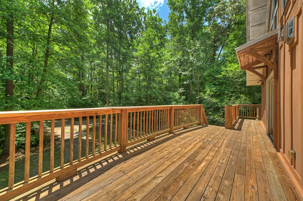 600 Conasauga Road Ellijay, GA 30540 - Photo 48 of 68 Gallery Image 48
