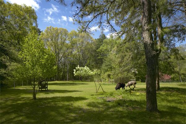 218 Concord Road Lincoln, MA 01773 - Photo 8 of 10