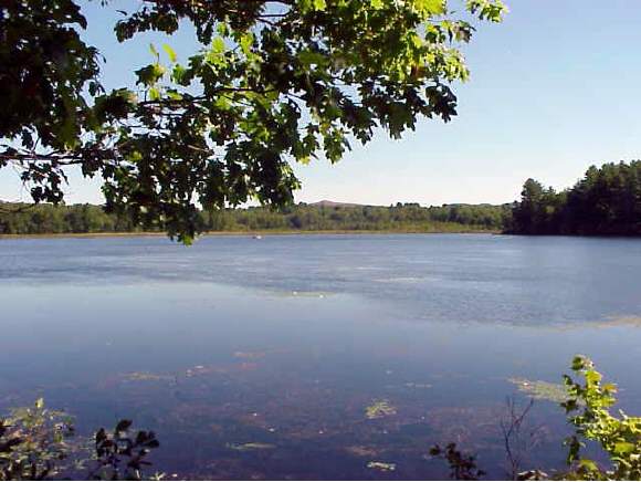 Lot45 Pineo Road Barnstead, NH 03218 - Photo 1 of 6