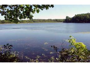 Lot45 Pineo Road Barnstead, NH 03218 - Photo 2 of 6