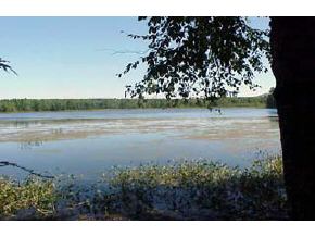 Lot45 Pineo Road Barnstead, NH 03218 - Photo 3 of 6
