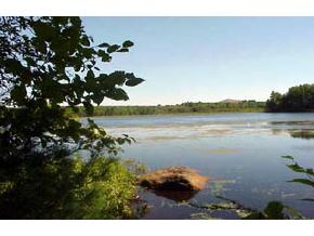 Lot45 Pineo Road Barnstead, NH 03218 - Photo 5 of 6