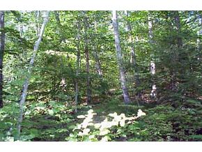 Lot45 Pineo Road Barnstead, NH 03218 - Photo 6 of 6