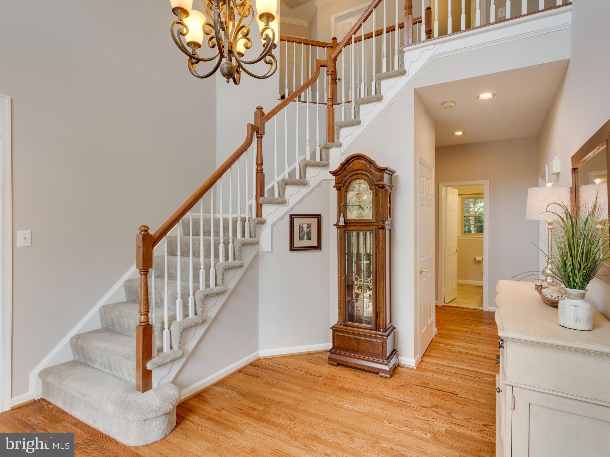 8119 Ridge Creek Way Springfield, VA 22153 - Photo 2 of 30 Delightful Entry w/Refinished Hardwood Floors