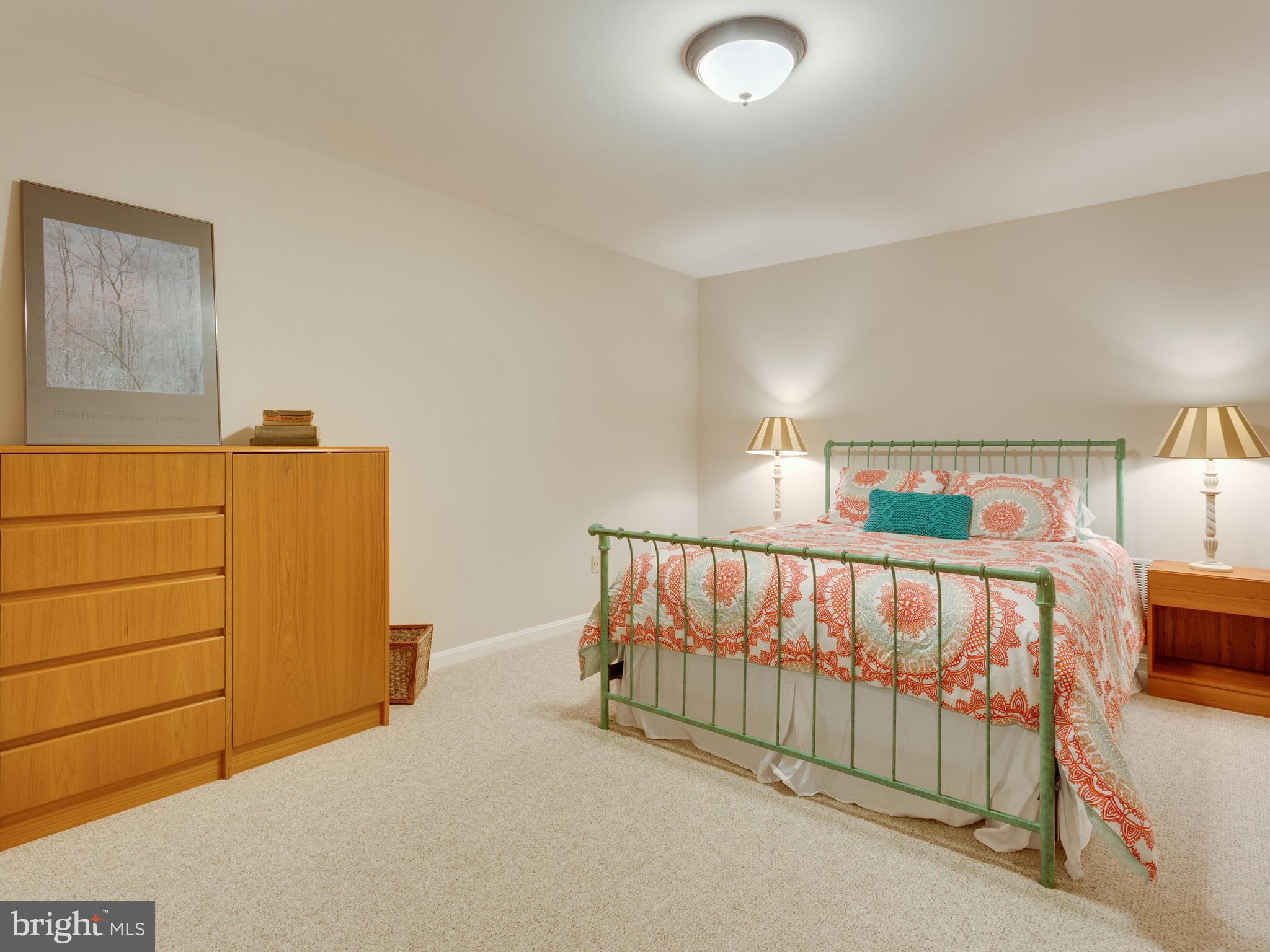8119 Ridge Creek Way Springfield, VA 22153 - Photo 24 of 30 Lower Level Bonus Room