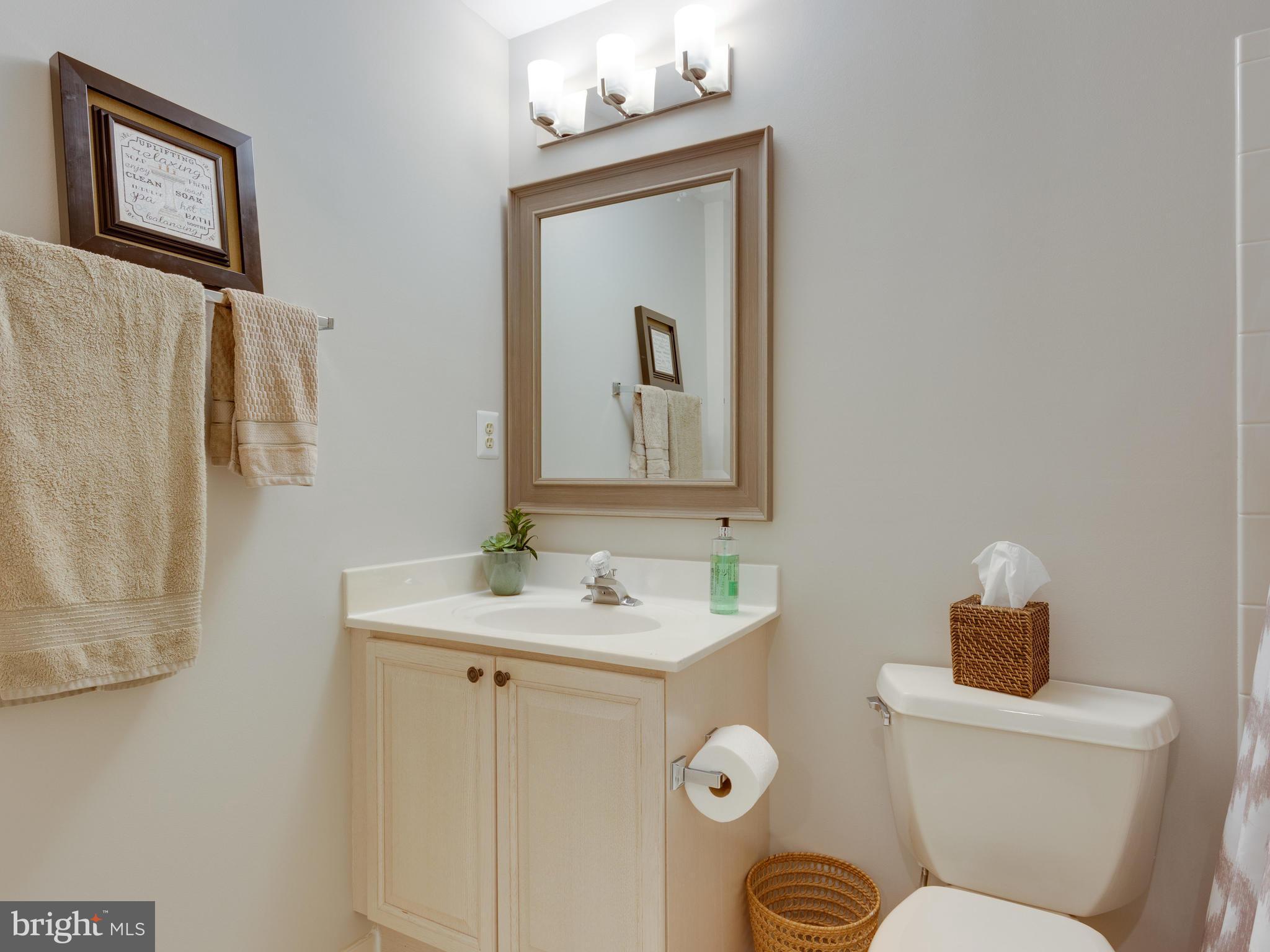 8119 Ridge Creek Way Springfield, VA 22153 - Photo 25 of 30 Full Bath on Lower Level