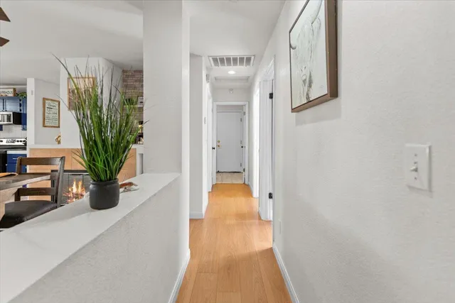 a view of a hallway with wooden floor and a potted plant