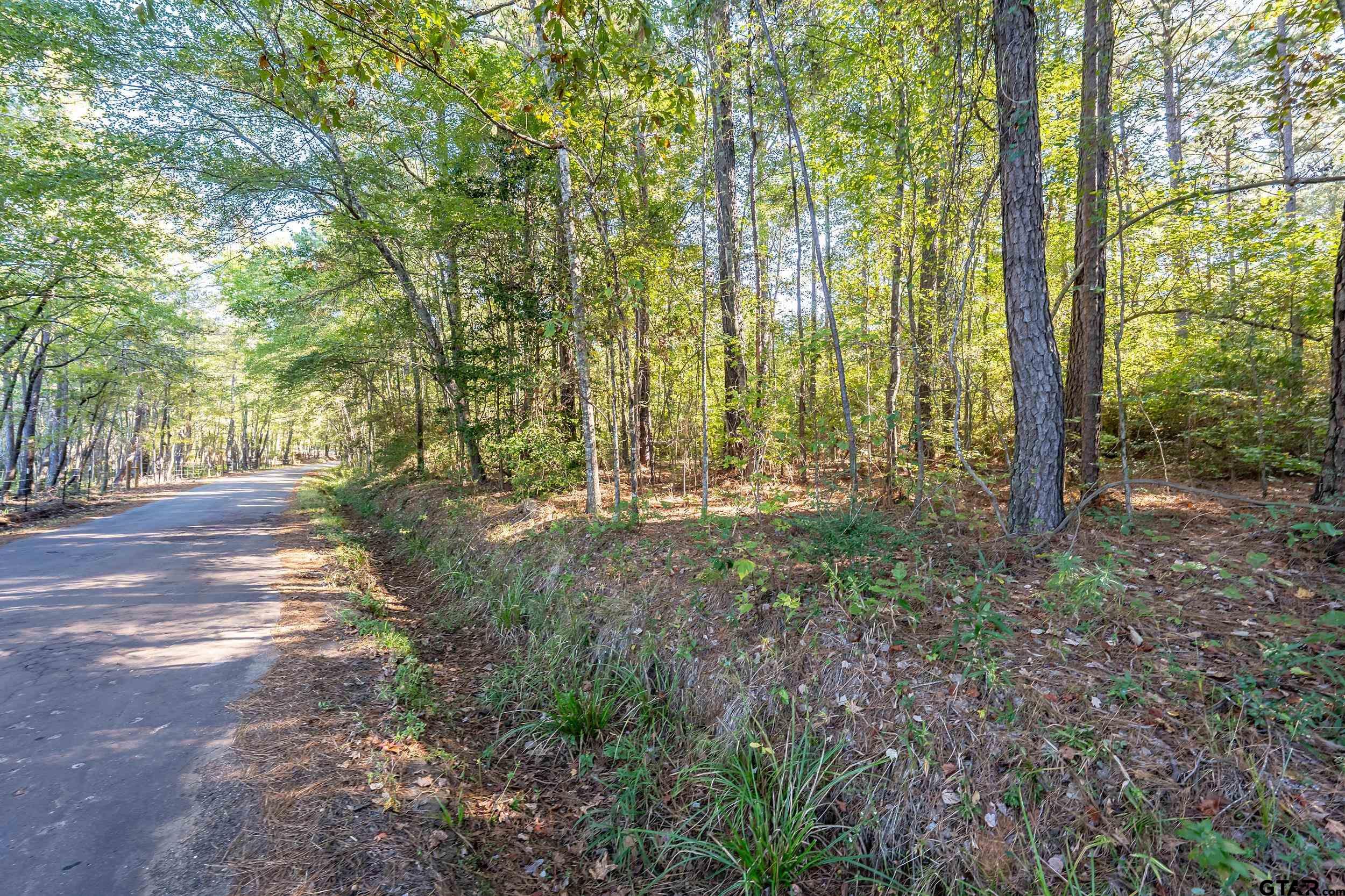 0 Sycamore Road Big Sandy, TX 75755 - Photo 2 of 12 a view of outdoor space and green space