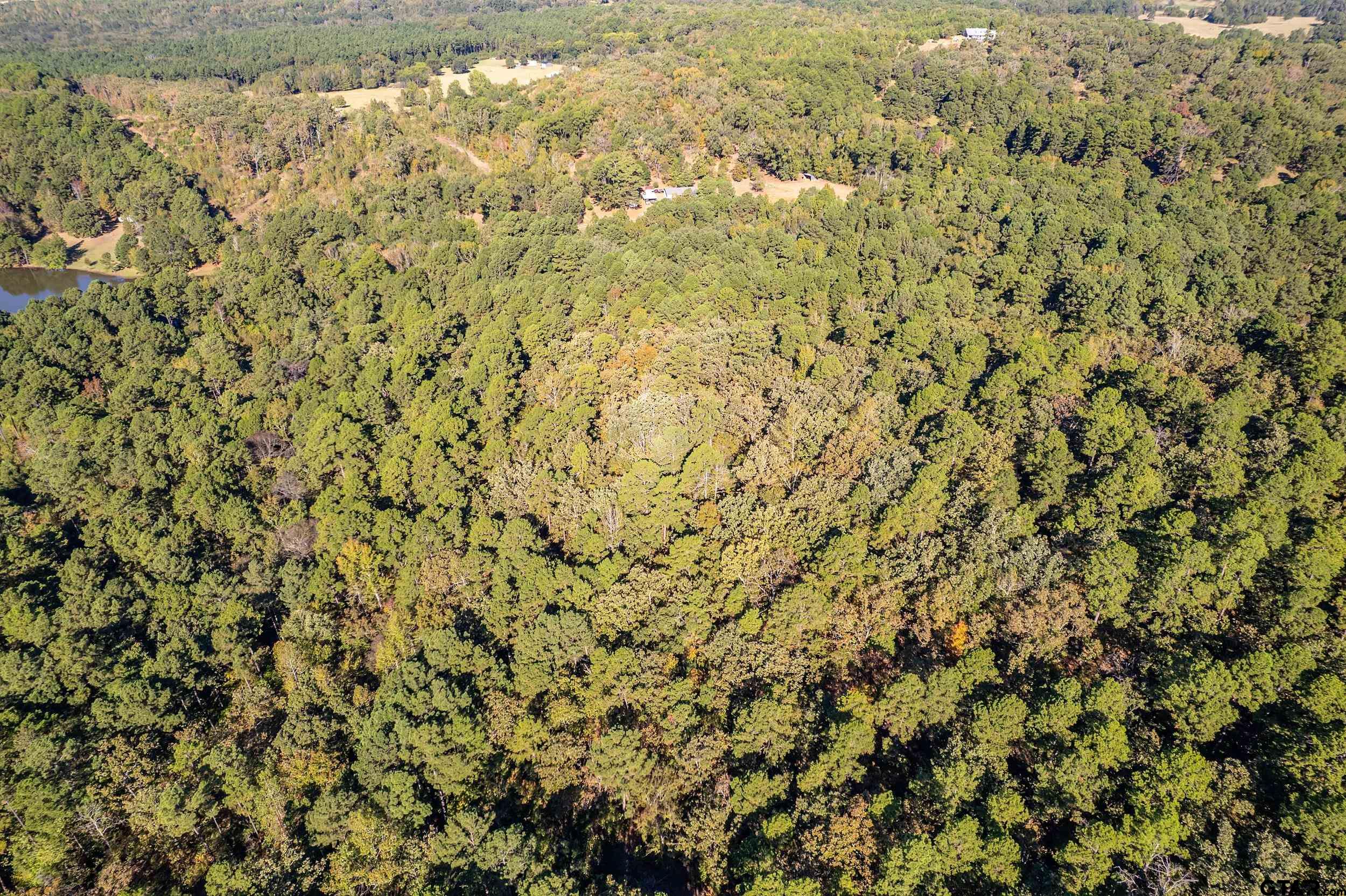 0 Sycamore Road Big Sandy, TX 75755 - Photo 5 of 12 a view of a yard