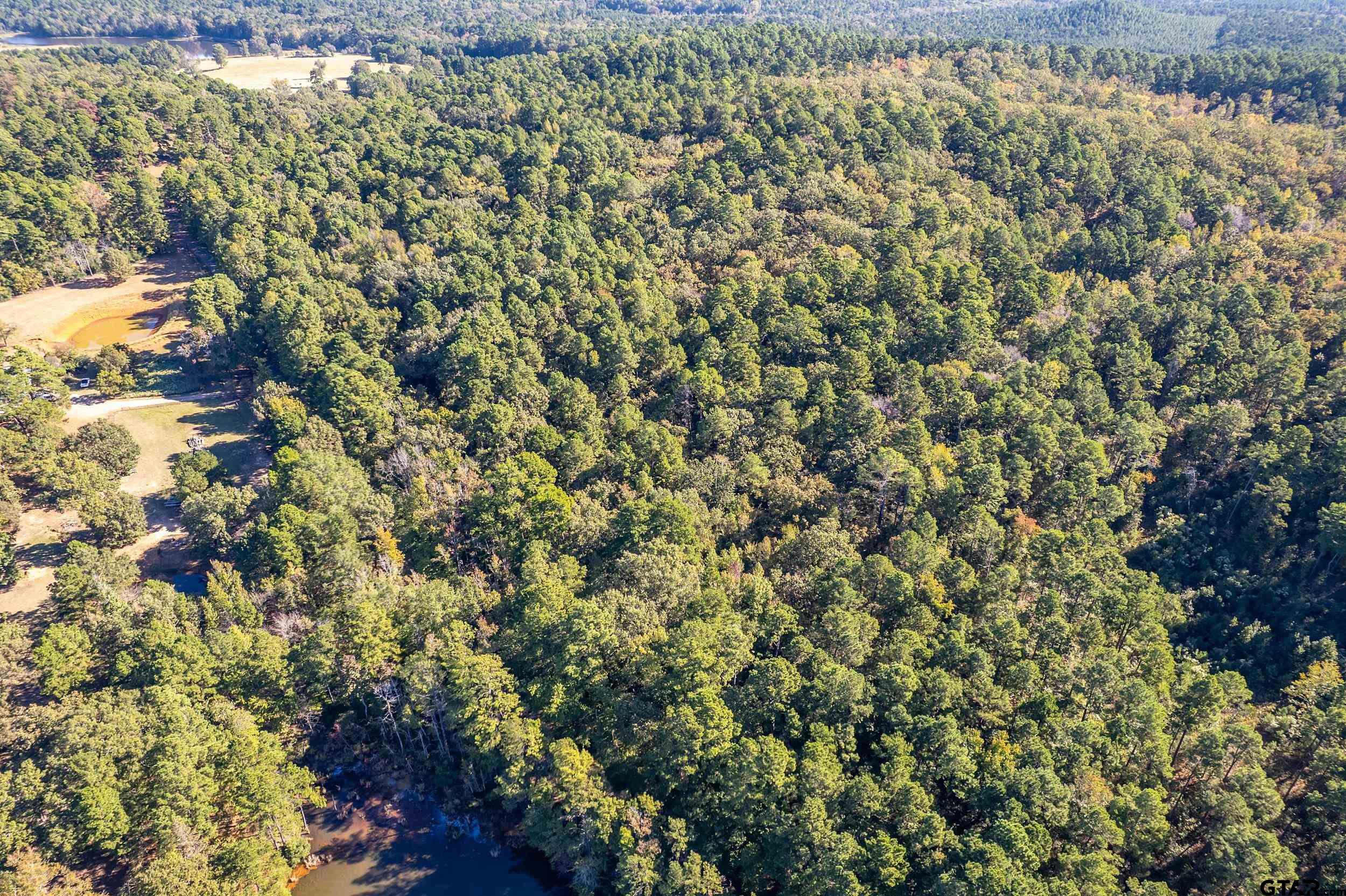 0 Sycamore Road Big Sandy, TX 75755 - Photo 6 of 12