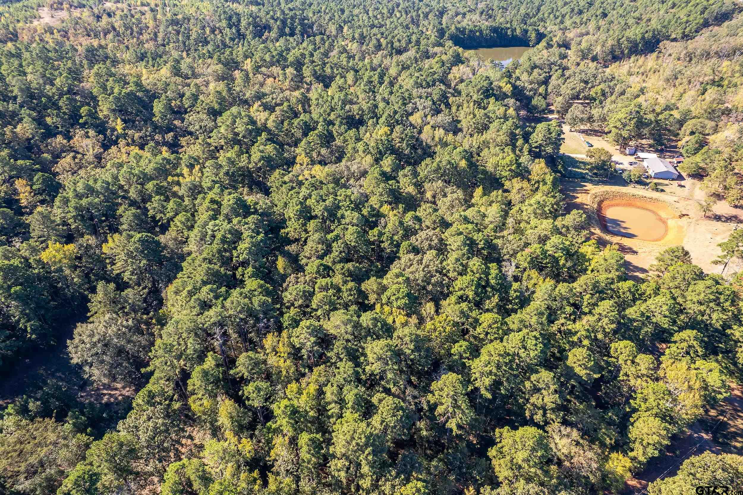 0 Sycamore Road Big Sandy, TX 75755 - Photo 10 of 12 a view of a yard of a house