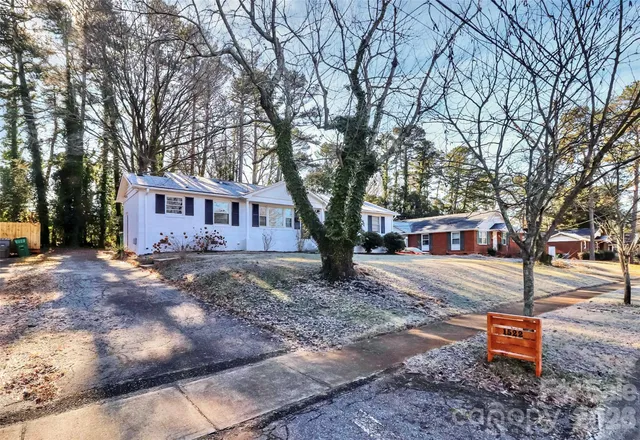 a tree in the middle of a yard