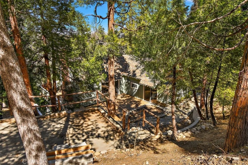 26432 Lake Forest Drive Twin Peaks, CA 92391 - Photo 26 of 27 a picture of a tree