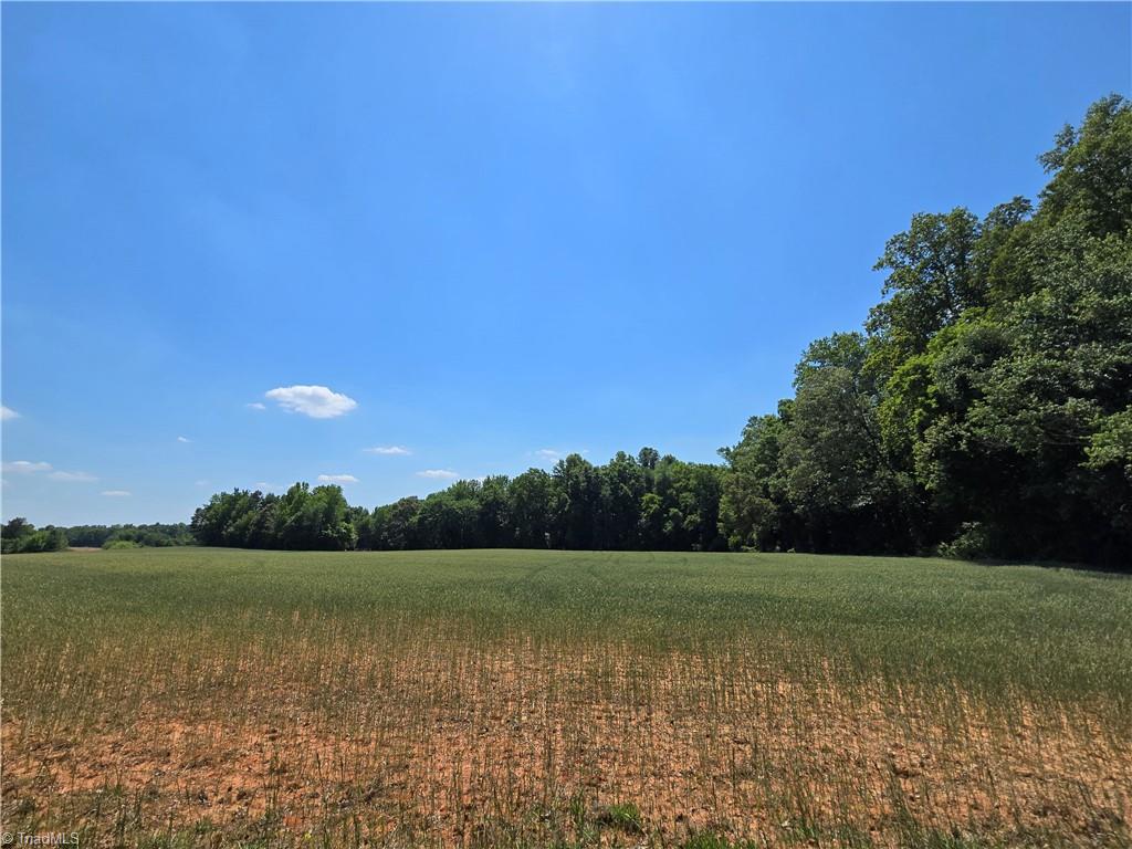 0 Johnson Road High Point, NC 27265 - Photo 2 of 2