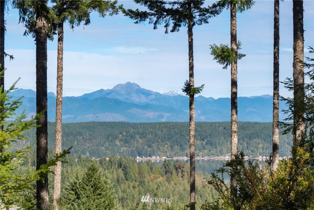 123 East Alderbrook Ridge Drive Union, WA 98592 - Photo 1 of 9 Gallery Image 1