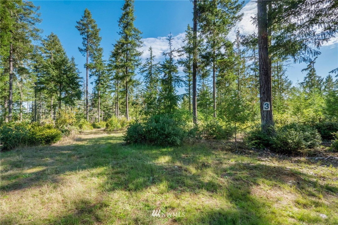 123 East Alderbrook Ridge Drive Union, WA 98592 - Photo 5 of 9 Gallery Image 5