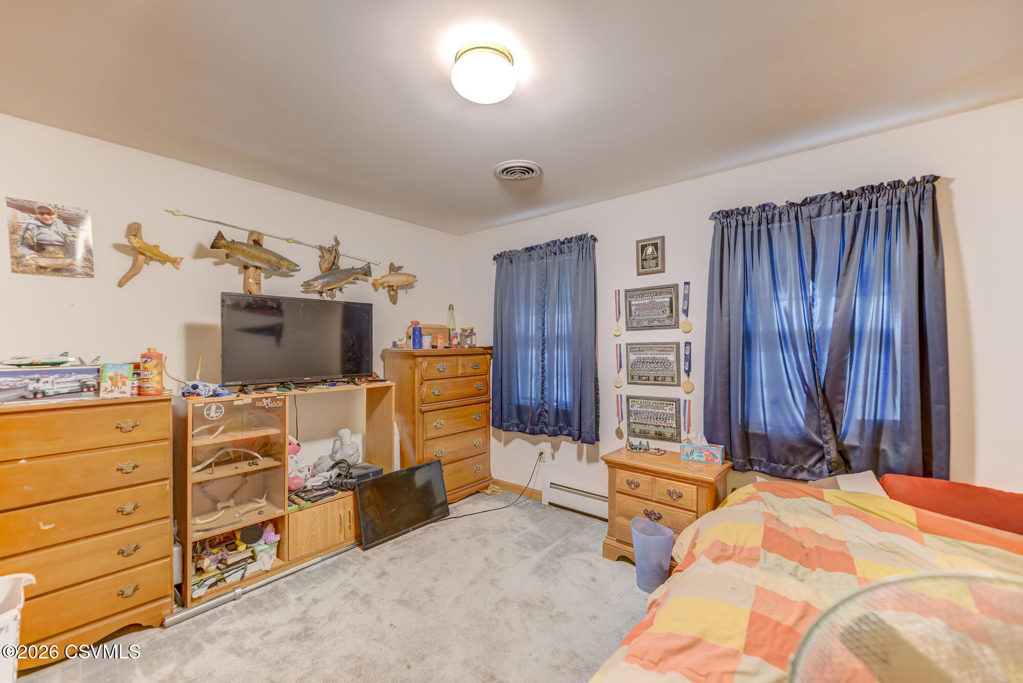 206 Campbell Road Catawissa, PA 17820 - Photo 29 of 51