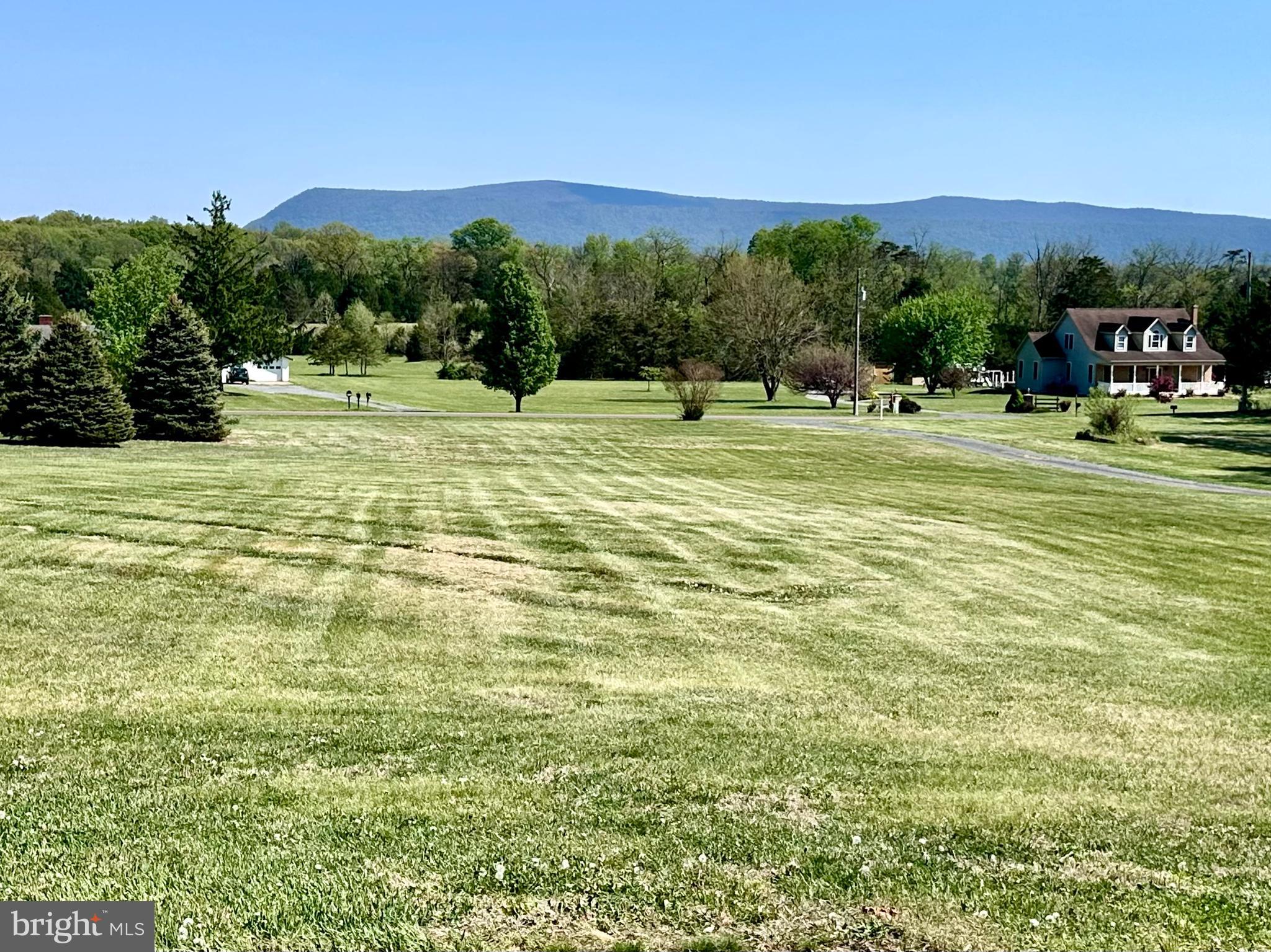 16335 Back Road Strasburg, VA 22657 - Photo 3 of 3 View from the front porch!