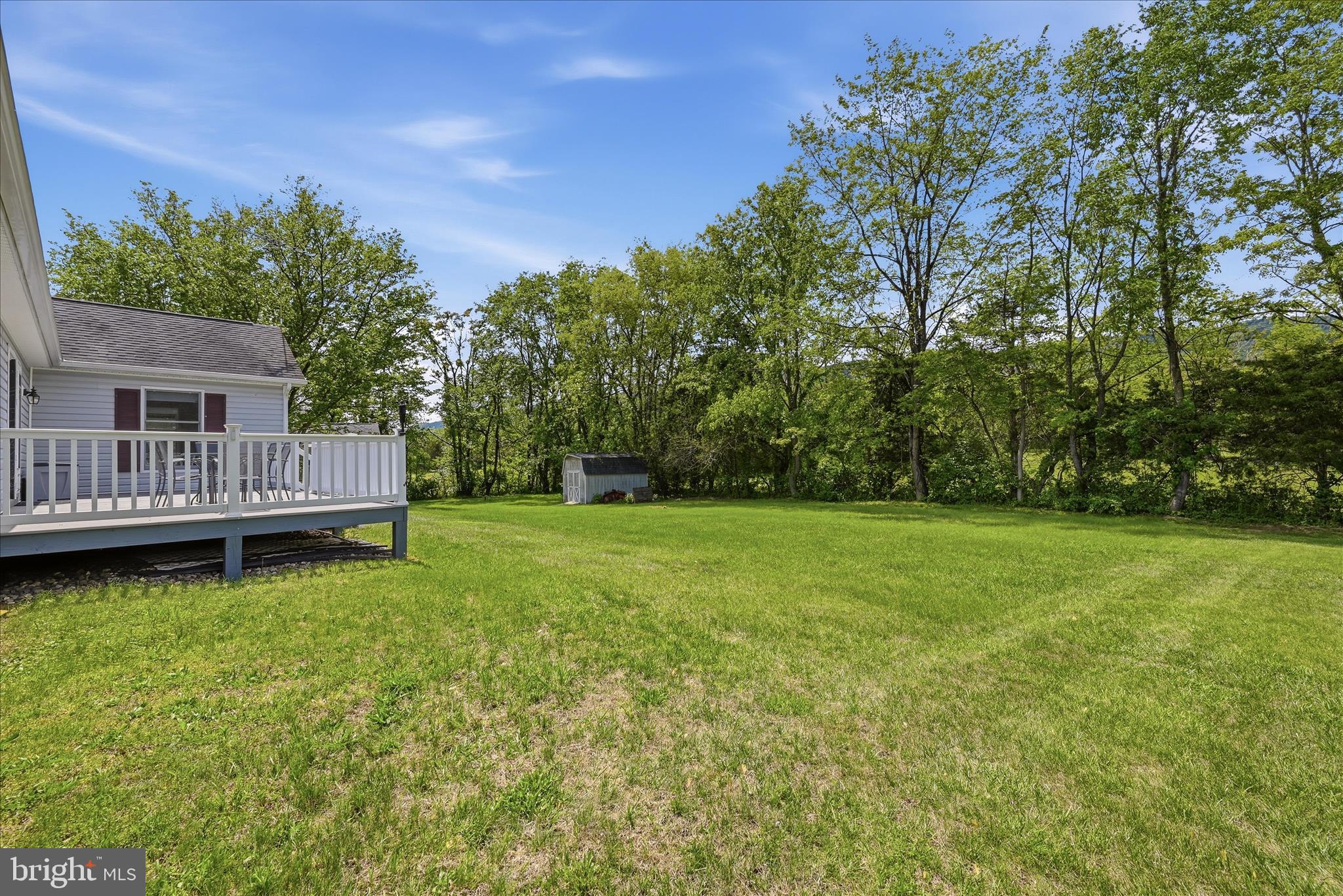 16335 Back Road Strasburg, VA 22657 - Photo 41 of 56 Backyard
