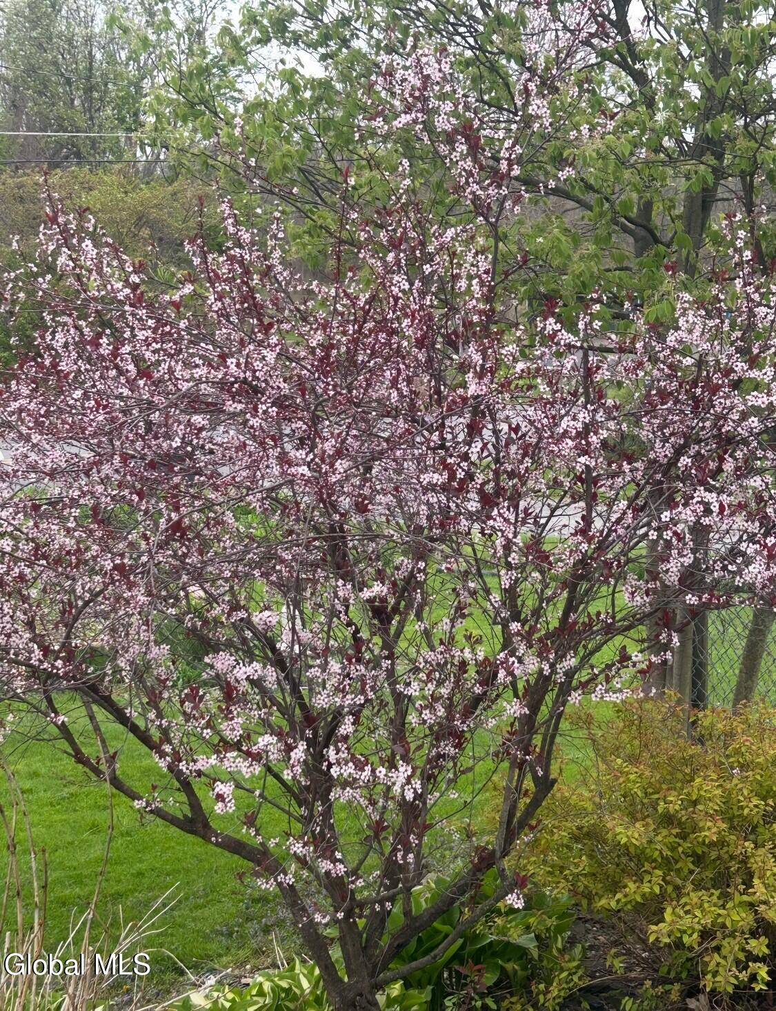 104 Haughney Road Troy, NY 12182 - Photo 48 of 49 Screenshot 2026-01-15 at 2 57 24 PM