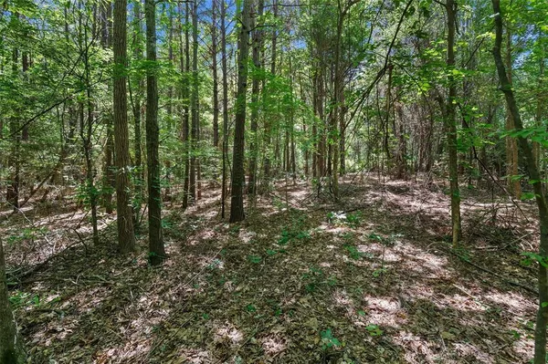 $37,000 | 3363 De Berry Tx 75639, Unit TRACT D, De Berry, TX 75639
