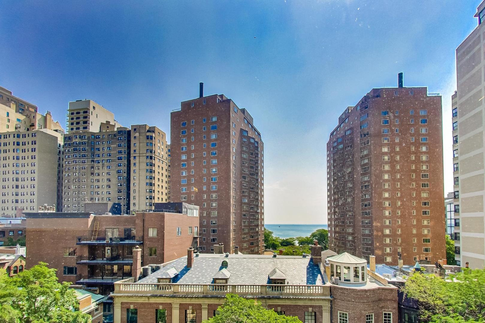 1350 North Astor Street, Unit 8B Chicago, IL 60610 - Photo 8 of 27