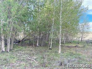 1599 Campfire Road Hartsel, CO 80449 - Photo 7 of 39 Gallery Image 7