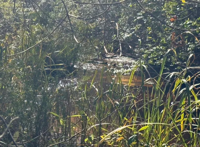 $79,000 | 140 Stencel Drive, Vernon, FL 32462