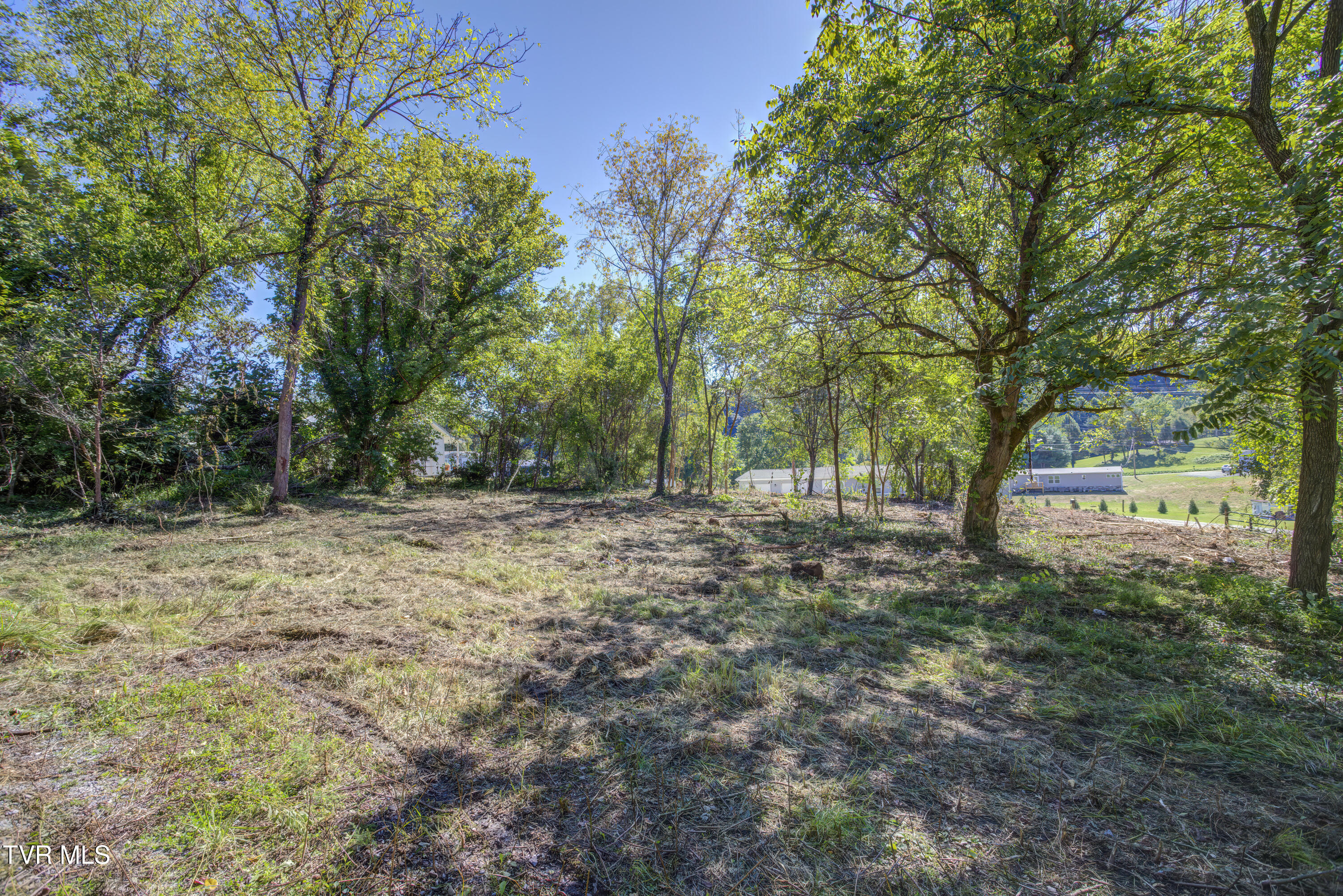 205 Valley Pike Road Bristol, TN 37620 - Photo 6 of 25 205 and 213 Valley Pike Rd (25)