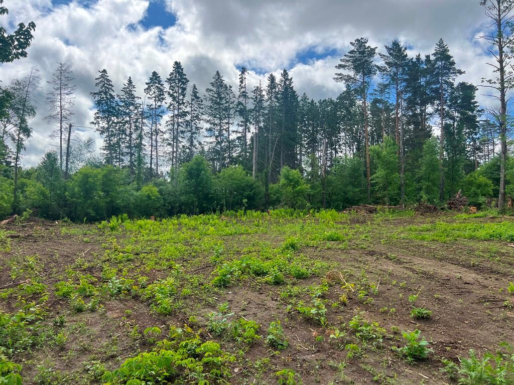 Lot 9-blk Isleview Road Grand Rapids, MN 55744 - Photo 10 of 14