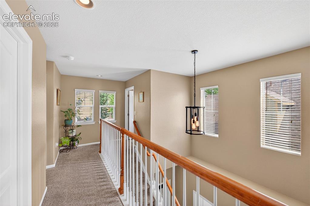 10648 Ashfield Street Highlands Ranch, CO 80126 - Photo 29 of 49