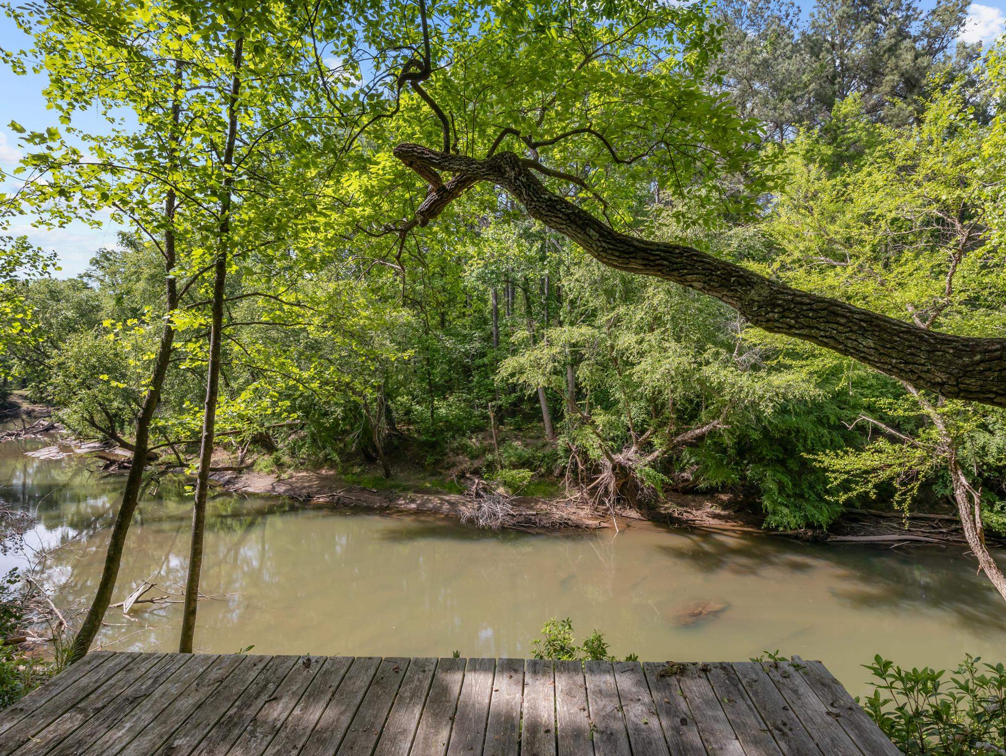 145 Riverside Drive Rutherfordton, NC 28139 - Photo 40 of 50