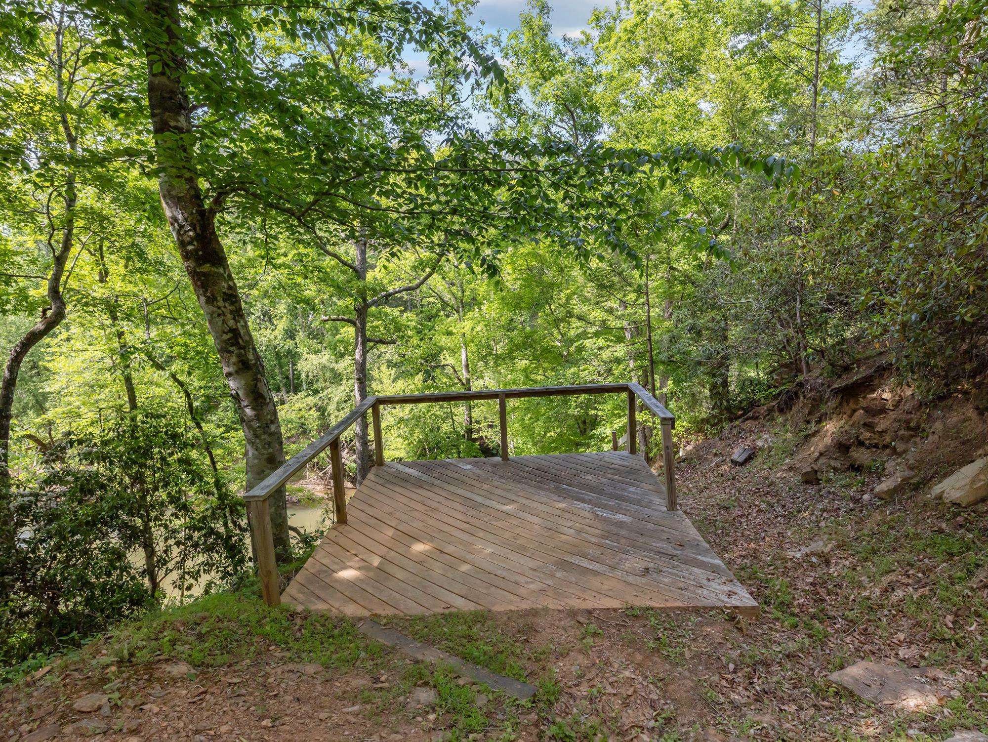 145 Riverside Drive Rutherfordton, NC 28139 - Photo 42 of 50