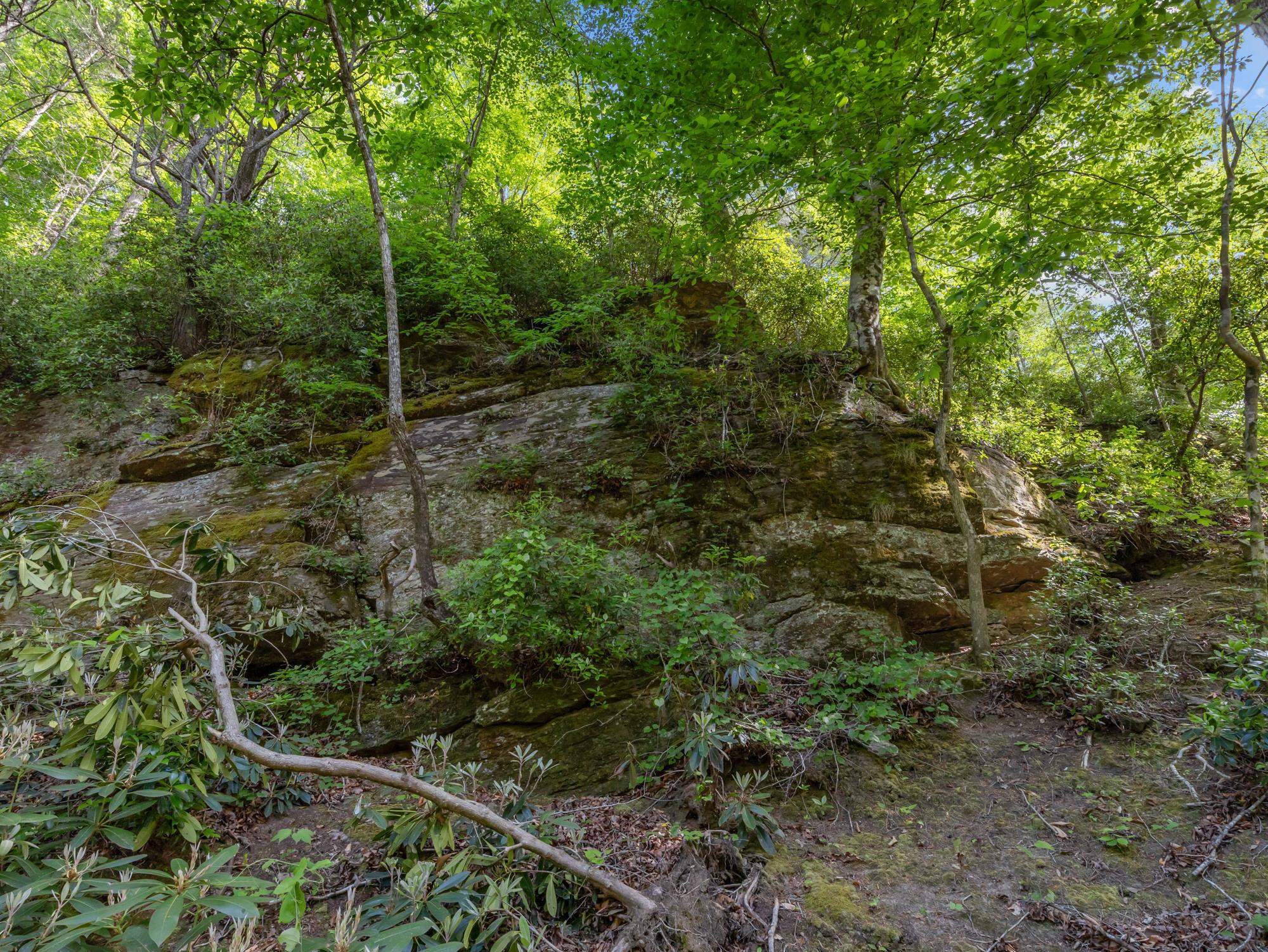 145 Riverside Drive Rutherfordton, NC 28139 - Photo 44 of 50