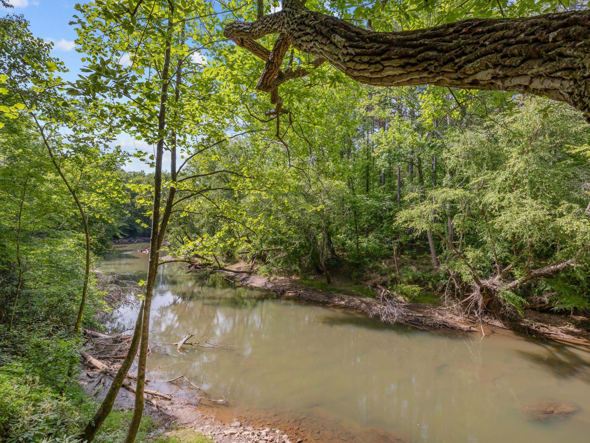 145 Riverside Drive Rutherfordton, NC 28139 - Photo 45 of 50