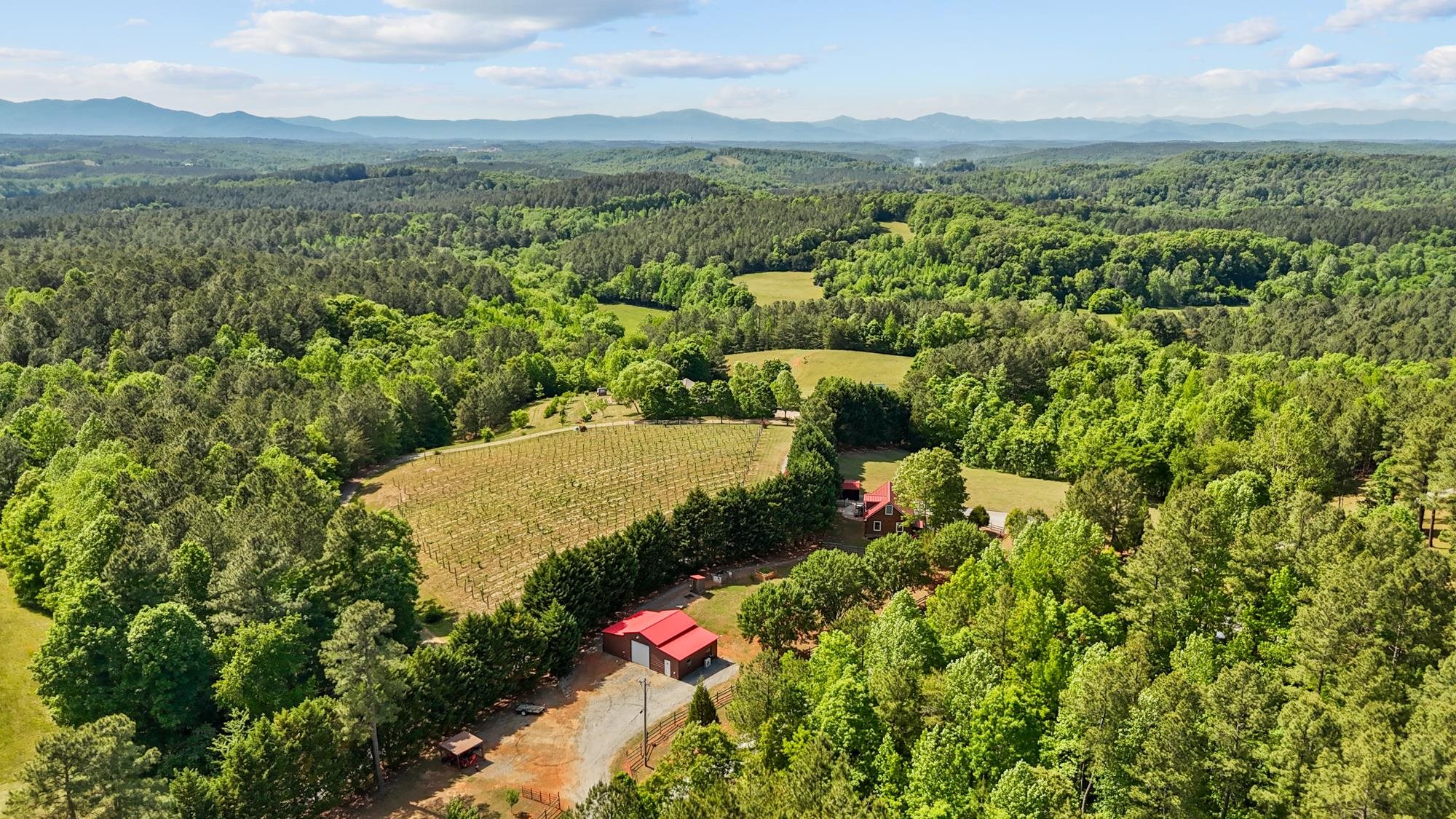 145 Riverside Drive Rutherfordton, NC 28139 - Photo 48 of 50
