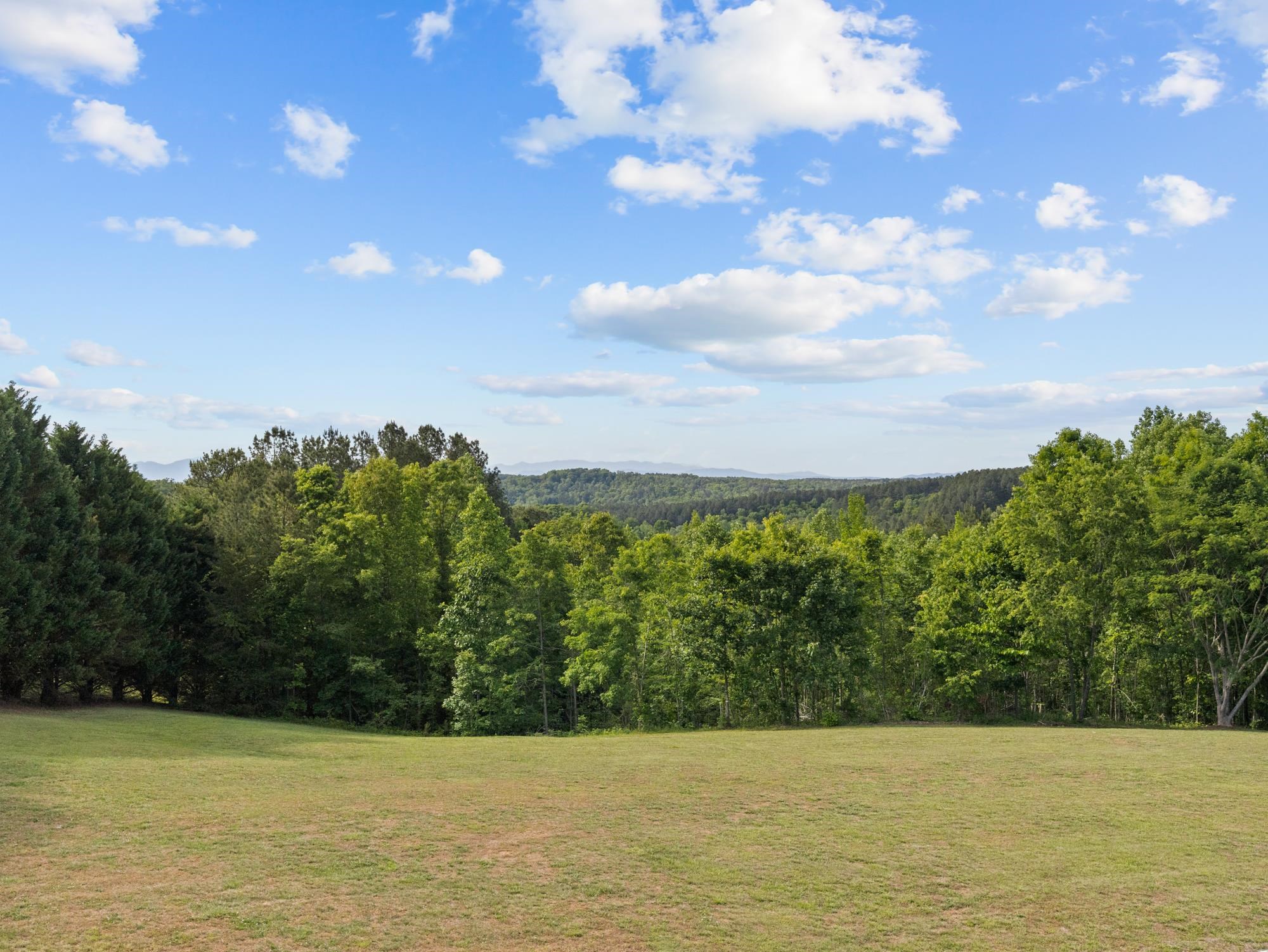 145 Riverside Drive Rutherfordton, NC 28139 - Photo 8 of 50