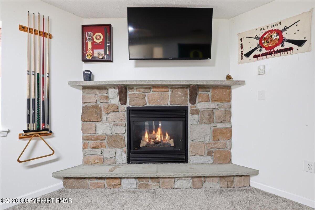 2108 Freedom Way Pocono Summit, PA 18346 - Photo 61 of 92 061-072_847A3880_with_fire