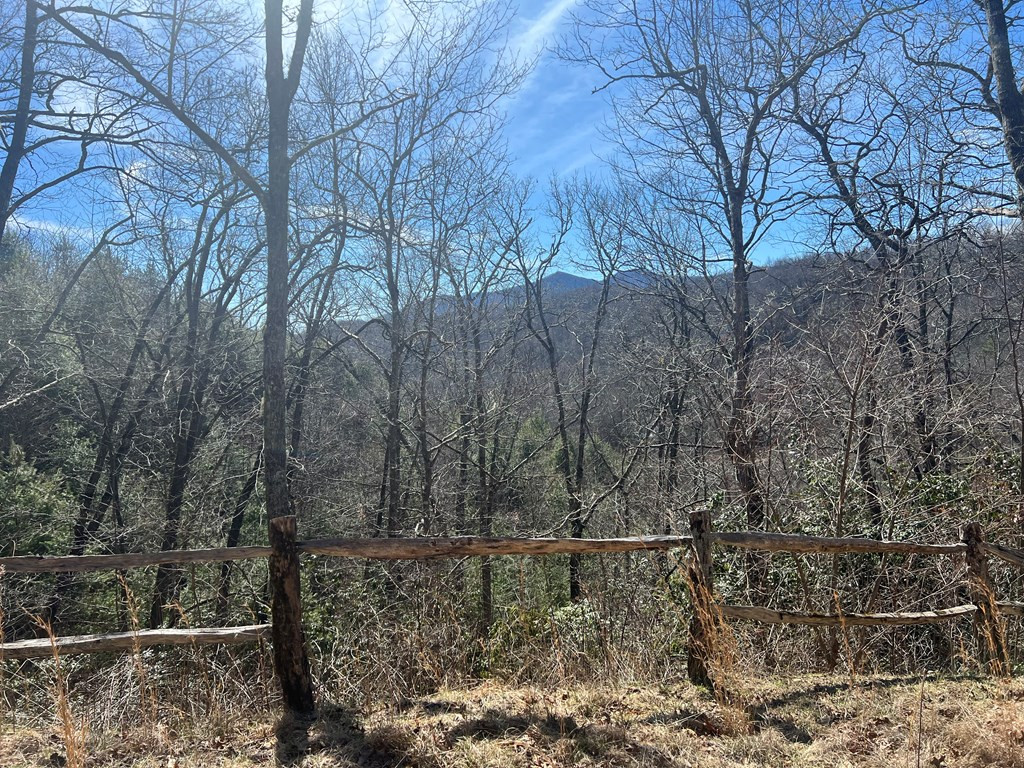 Lot 19 Preserve Valley Road Topton, NC 28781 - Photo 4 of 5