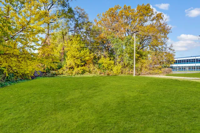 a view of yard with green space