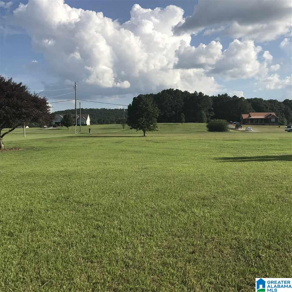 58 Maple Drive Boaz, AL 35956 - Photo 5 of 34