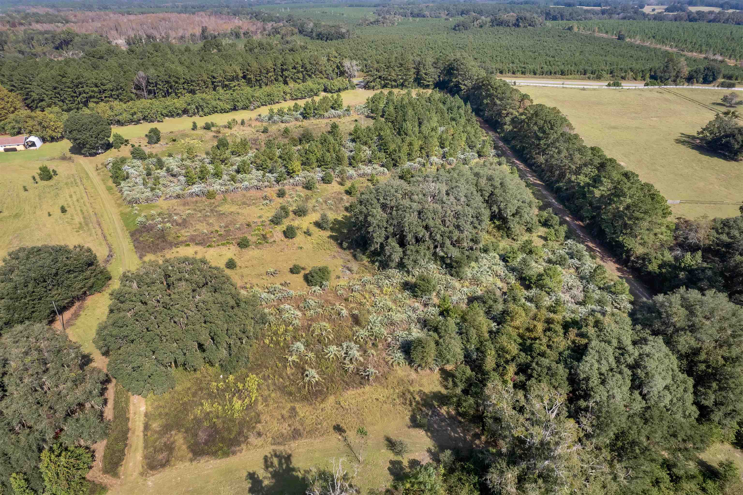 Vacant Northwest Little Cat Road Madison, FL 32340 - Photo 8 of 18