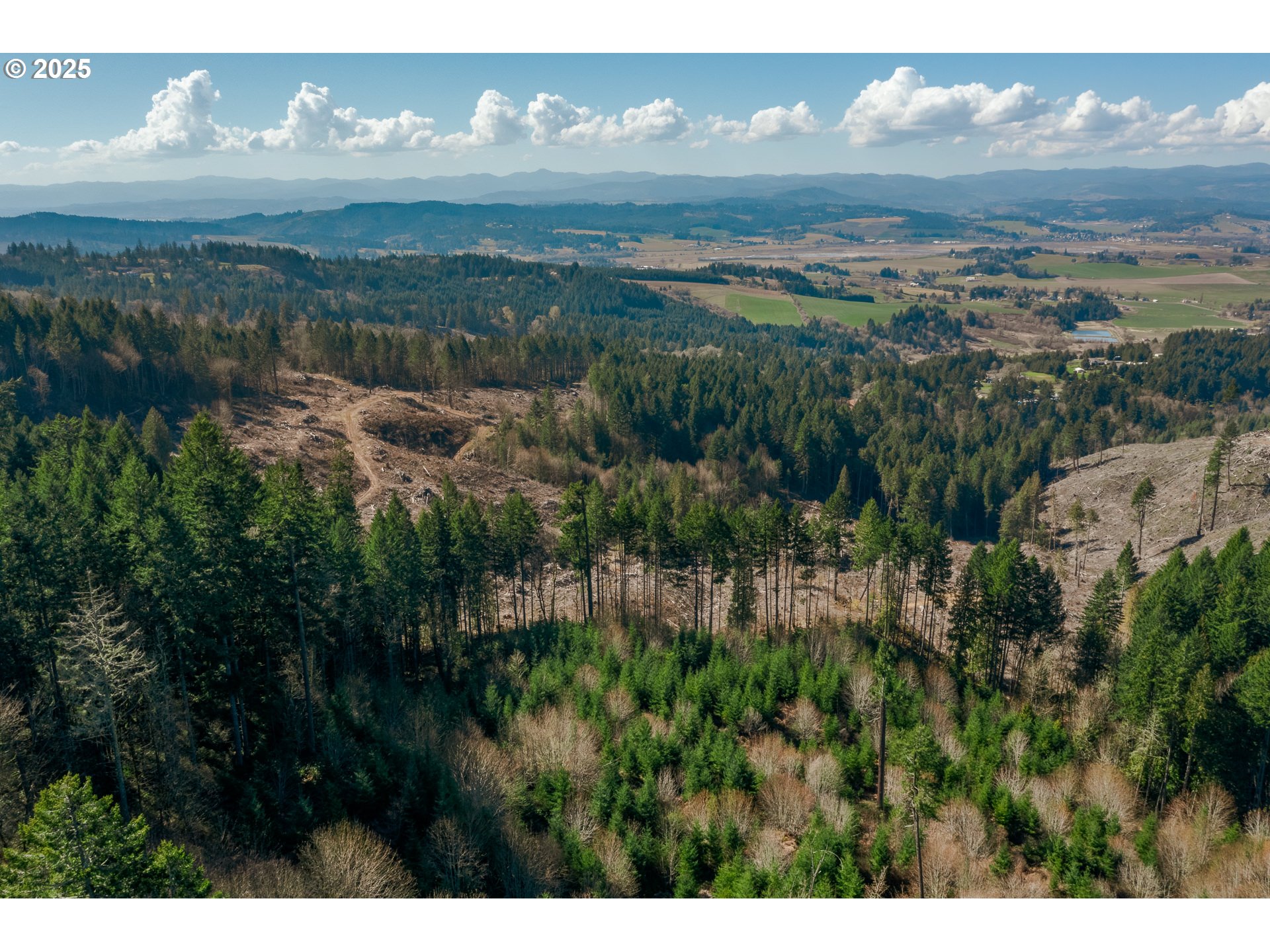 35963 Southwest Bald Peak Road Hillsboro, OR 97123 - Photo 11 of 14 a view of city and mountain