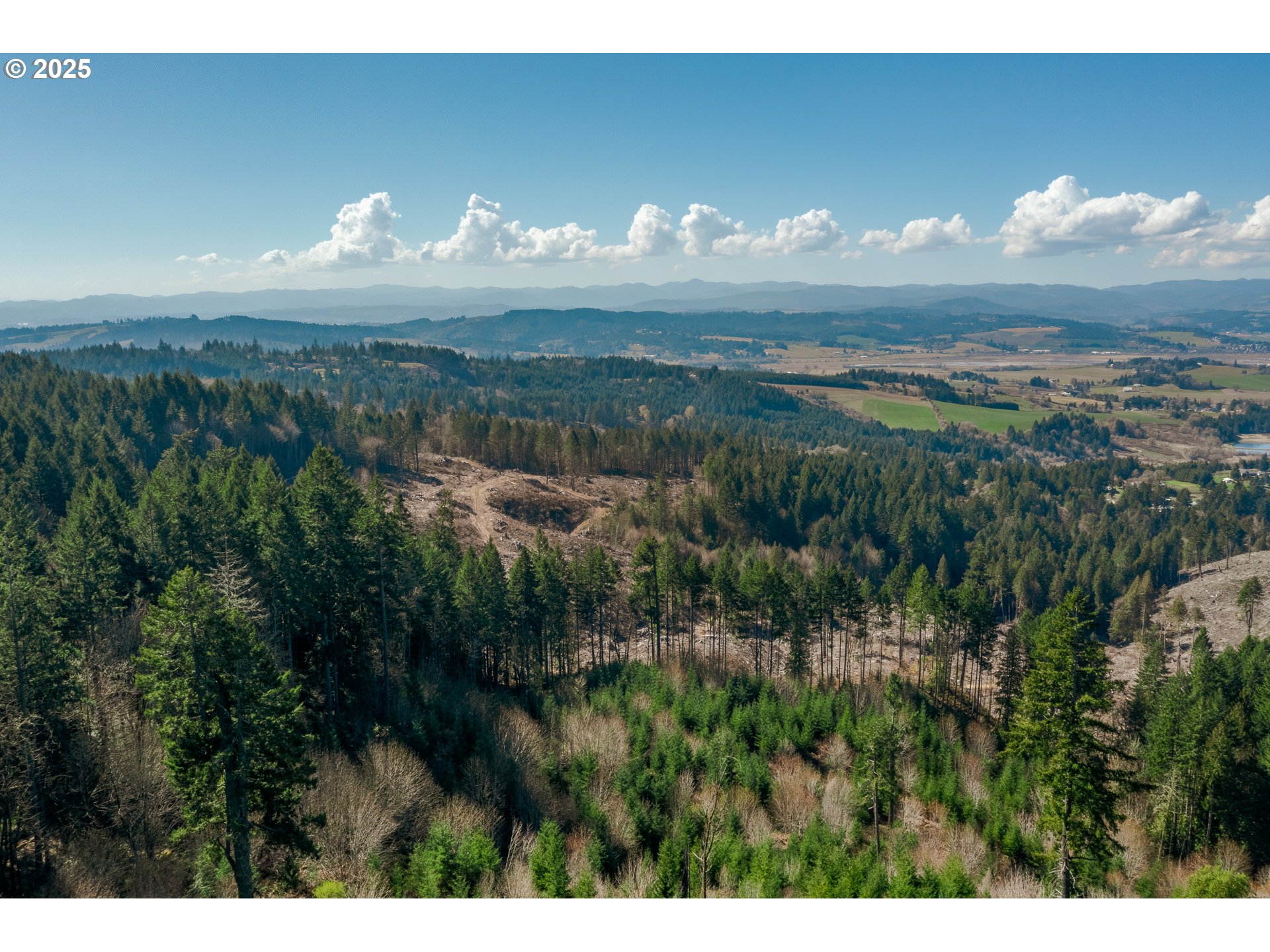 35963 Southwest Bald Peak Road Hillsboro, OR 97123 - Photo 12 of 14 a view of a lake in middle of the forest